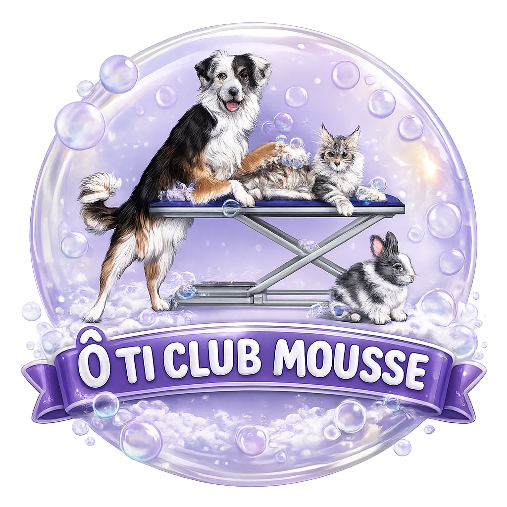 O ti club mousse