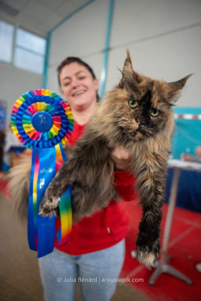 black tortie gagnante du titre best in shown avec son eleveuse