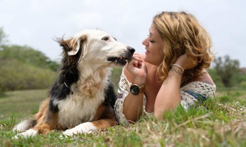 border collie de 10 ans avec sa maitresse pour un moment de partage photo